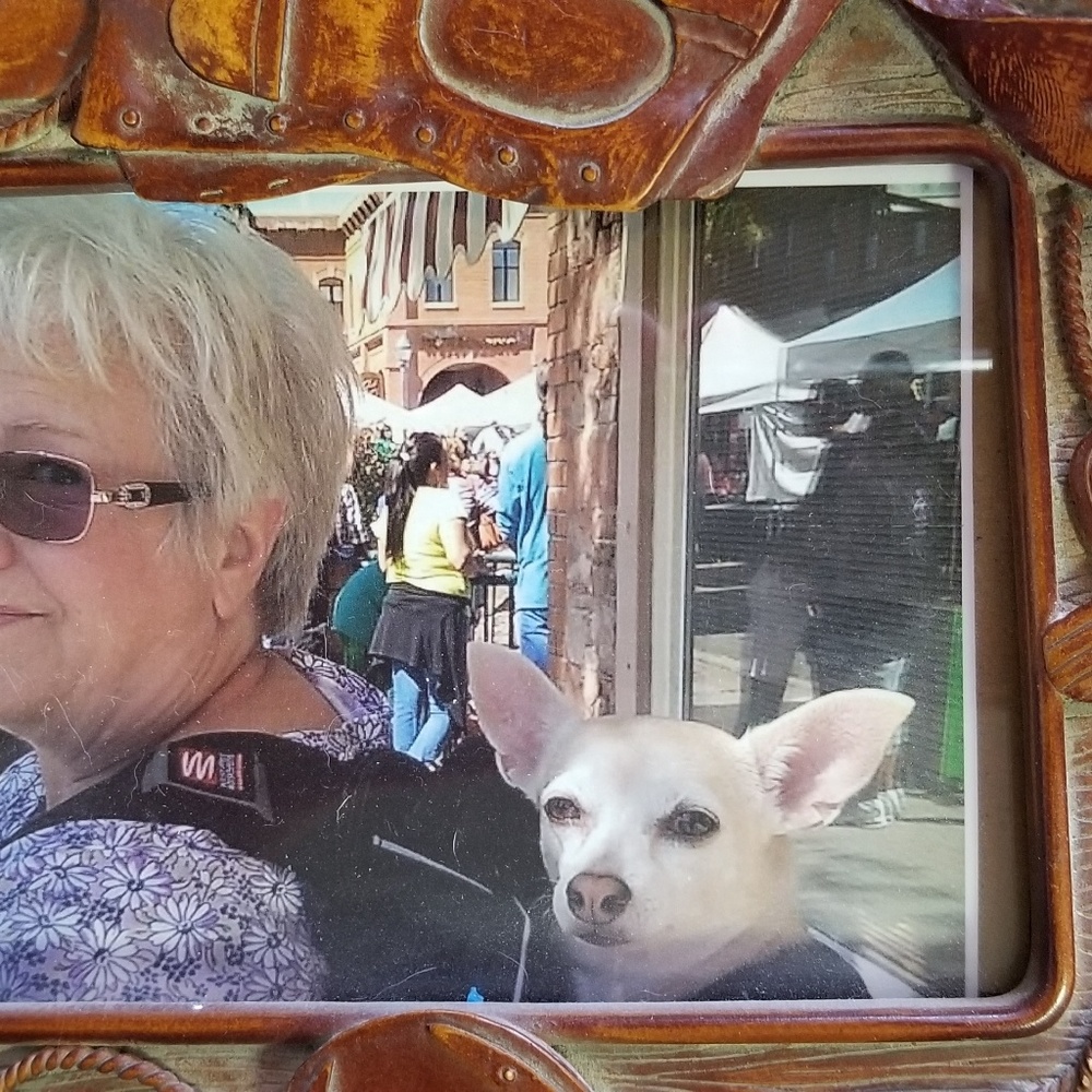 Meet your Posher, Janis